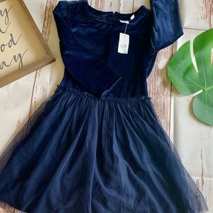 Gap Blue Velvet Dress with Tulle